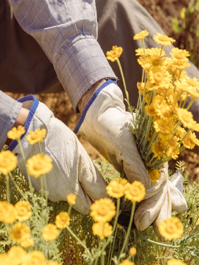多亏它帮我守住了发际线凯发k8入口线年才敢说(图3)