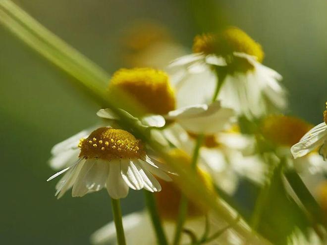 多亏它帮我守住了发际线凯发k8入口线年才敢说(图5)
