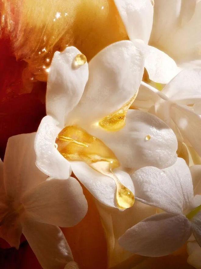 多亏它帮我守住了发际线凯发k8入口线年才敢说(图8)