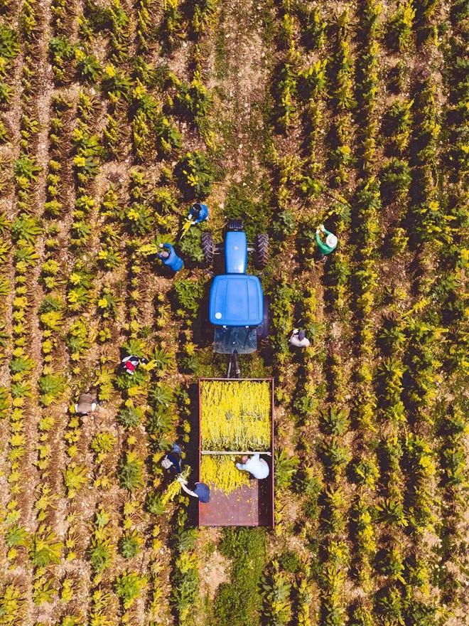 多亏它帮我守住了发际线凯发k8入口线年才敢说(图17)