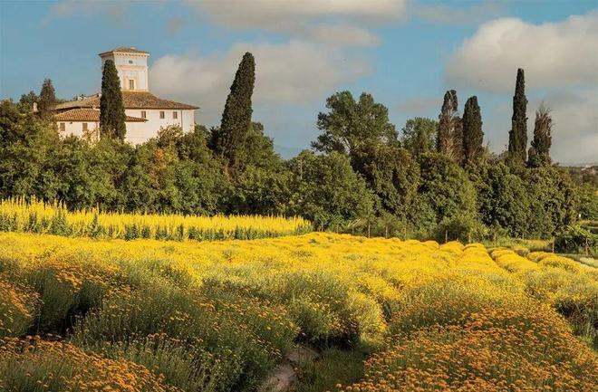 多亏它帮我守住了发际线凯发k8入口线年才敢说(图42)